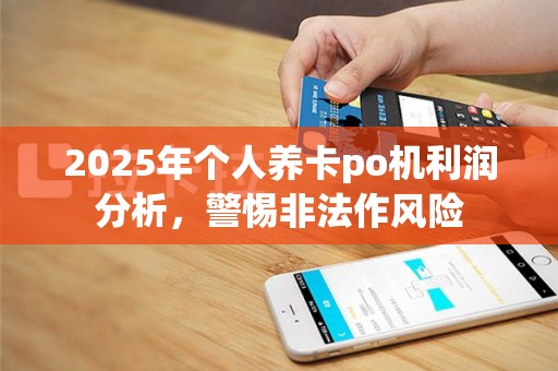 2025年个人养卡po机利润分析，警惕非法作风险