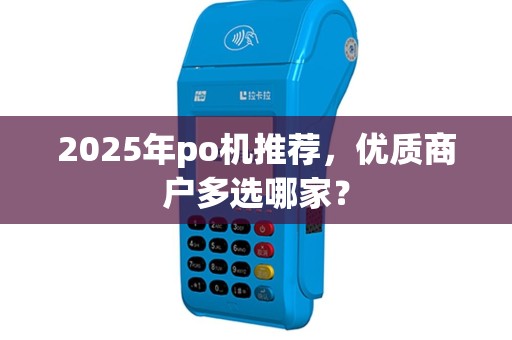 2025年po机推荐，优质商户多选哪家？