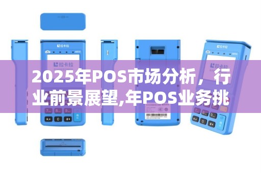 2025年POS市场分析，行业前景展望,年POS业务挑战与机遇