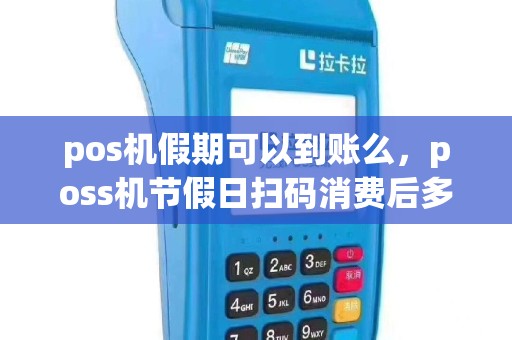 pos机假期可以到账么，poss机节假日扫码消费后多久到账