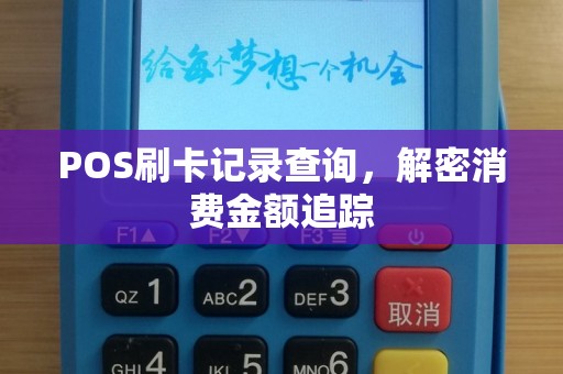 POS刷卡记录查询，解密消费金额追踪