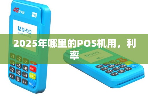 2025年哪里的POS机用，利率