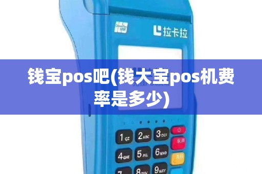 钱宝pos吧(钱大宝pos机费率是多少)