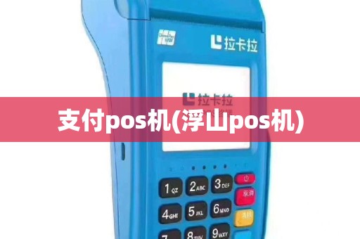 支付pos机(浮山pos机)