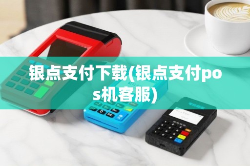 银点支付下载(银点支付pos机客服)