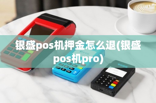 银盛pos机押金怎么退(银盛pos机pro)