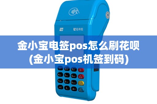 金小宝电签pos怎么刷花呗(金小宝pos机签到码)