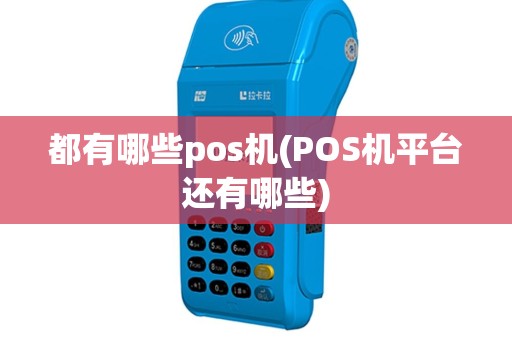 都有哪些pos机(POS机平台还有哪些)