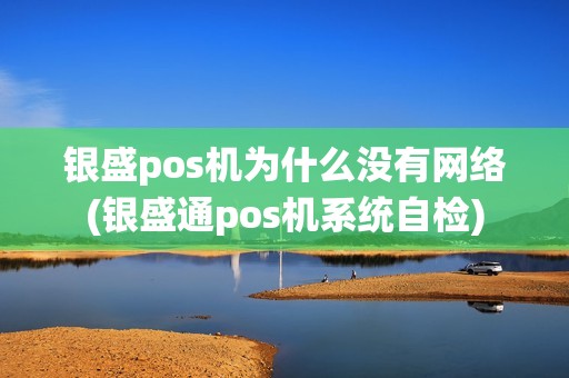 银盛pos机为什么没有网络(银盛通pos机系统自检)