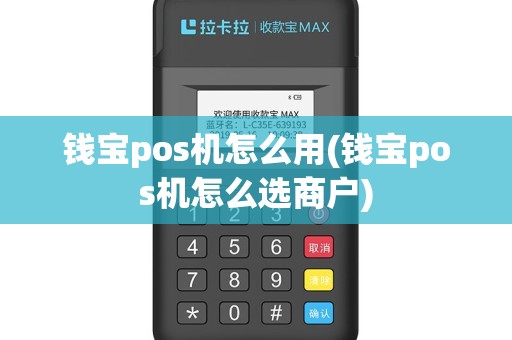 钱宝pos机怎么用(钱宝pos机怎么选商户)