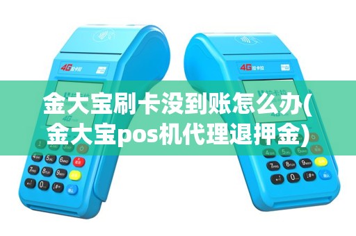 金大宝刷卡没到账怎么办(金大宝pos机代理退押金)