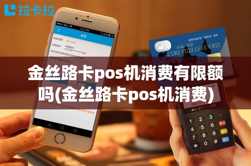 金丝路卡pos机消费有限额吗(金丝路卡pos机消费)