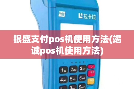 银盛支付pos机使用方法(竭诚pos机使用方法)
