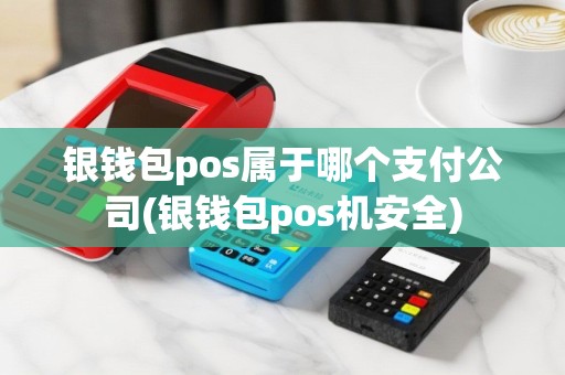 银钱包pos属于哪个支付公司(银钱包pos机安全)