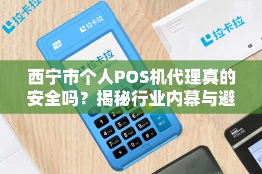 西宁市个人POS机代理真的安全吗？揭秘行业内幕与避坑指南！