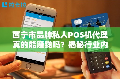 西宁市品牌私人POS机代理真的能赚钱吗？揭秘行业内幕与避坑指南！