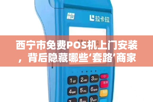 西宁市免费POS机上门安装，背后隐藏哪些‘套路’商家必看的避坑指南！