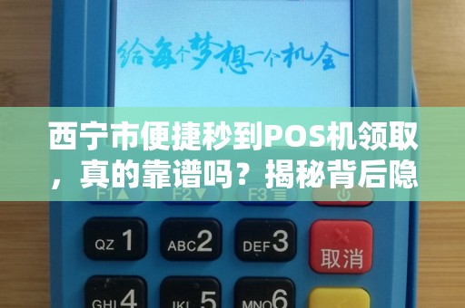 西宁市便捷秒到POS机领取，真的靠谱吗？揭秘背后隐藏的5大风险！
