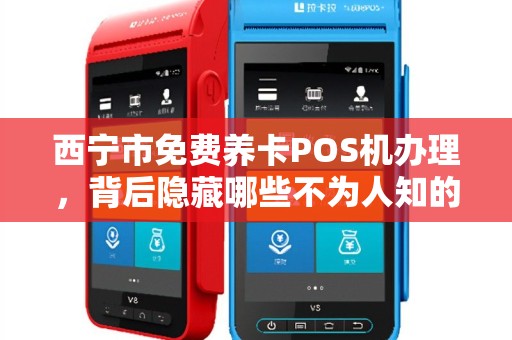 西宁市免费养卡POS机办理，背后隐藏哪些不为人知的秘密？