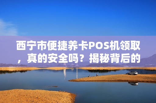 西宁市便捷养卡POS机领取，真的安全吗？揭秘背后的风险与真相！