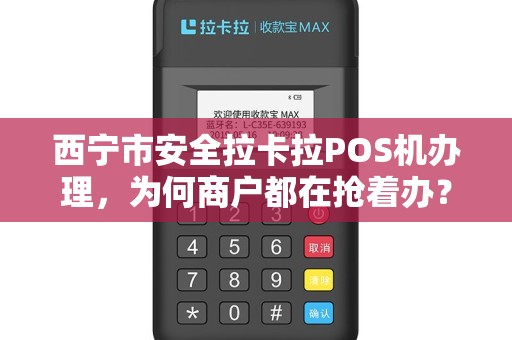 西宁市安全拉卡拉POS机办理，为何商户都在抢着办？揭秘背后3大隐藏福利！