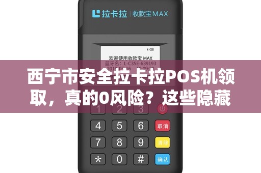 西宁市安全拉卡拉POS机领取，真的0风险？这些隐藏细节你必须知道！