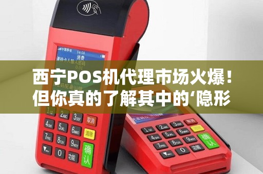 西宁POS机代理市场火爆！但你真的了解其中的‘隐形陷阱’吗？