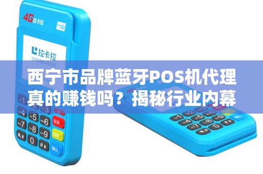 西宁市品牌蓝牙POS机代理真的赚钱吗？揭秘行业内幕与避坑指南！
