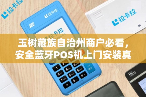 玉树藏族自治州商户必看，安全蓝牙POS机上门安装真的靠谱吗？小心这些隐藏风险！