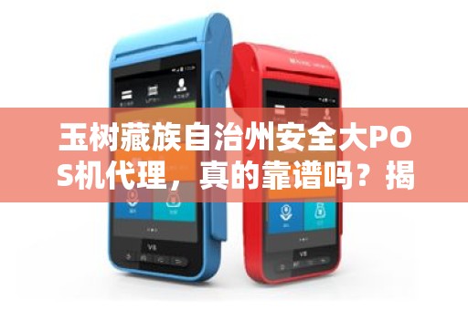 玉树藏族自治州安全大POS机代理，真的靠谱吗？揭秘背后的风险与机遇！