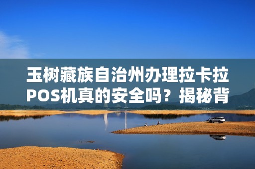 玉树藏族自治州办理拉卡拉POS机真的安全吗？揭秘背后5大风险与避坑指南！