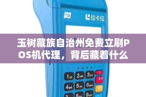 玉树藏族自治州免费立刷POS机代理，背后藏着什么不为人知的秘密？