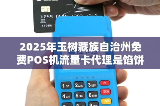 2025年玉树藏族自治州免费POS机流量卡代理是馅饼还是陷阱？揭秘背后的真相！