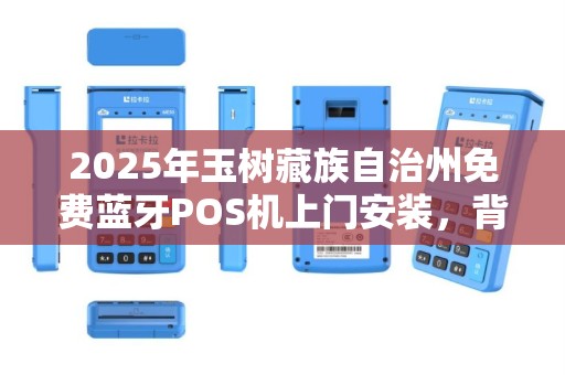 2025年玉树藏族自治州免费蓝牙POS机上门安装，背后隐藏着什么商机？