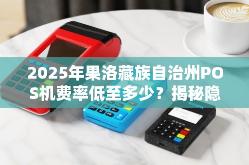 2025年果洛藏族自治州POS机费率低至多少？揭秘隐藏福利！