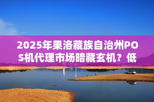 2025年果洛藏族自治州POS机代理市场暗藏玄机？低费率背后竟有这些猫腻！