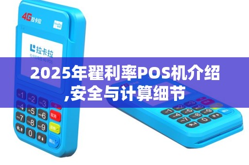 2025年翟利率POS机介绍,安全与计算细节