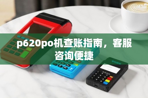 p620po机查账指南，客服咨询便捷