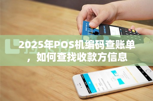 2025年POS机编码查账单，如何查找收款方信息