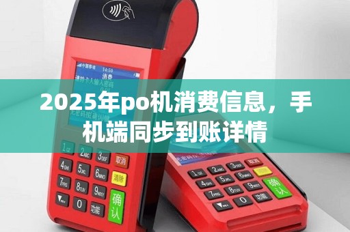 2025年po机消费信息，手机端同步到账详情