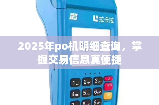 2025年po机明细查询，掌握交易信息真便捷