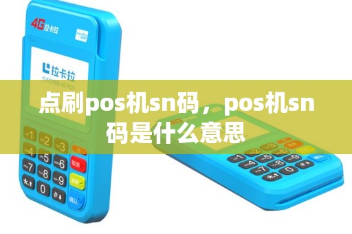 点刷pos机sn码，pos机sn码是什么意思