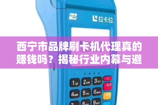 西宁市品牌刷卡机代理真的赚钱吗？揭秘行业内幕与避坑指南！