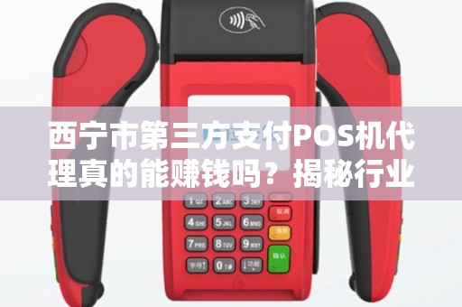 西宁市第三方支付POS机代理真的能赚钱吗？揭秘行业真相与避坑指南！