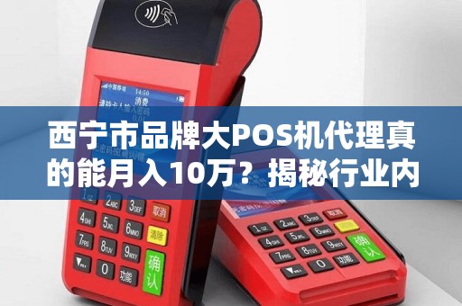 西宁市品牌大POS机代理真的能月入10万？揭秘行业内幕与真实收益！