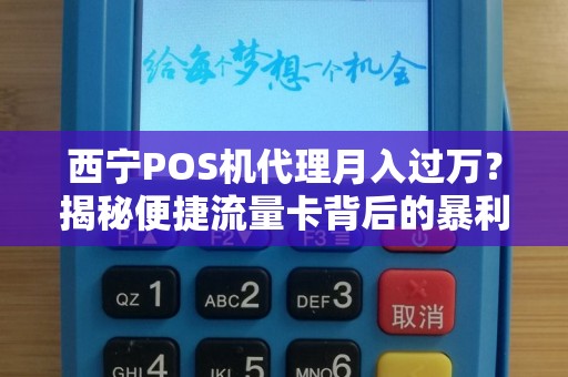 西宁POS机代理月入过万？揭秘便捷流量卡背后的暴利与陷阱！