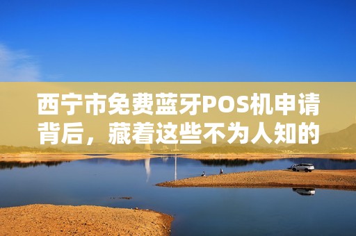 西宁市免费蓝牙POS机申请背后，藏着这些不为人知的秘密！