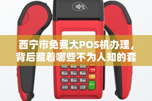 西宁市免费大POS机办理，背后藏着哪些不为人知的套路？揭秘商户必知的5大陷阱！