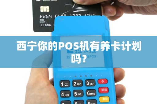西宁你的POS机有养卡计划吗？