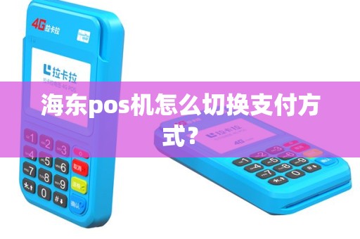 海东pos机怎么切换支付方式？